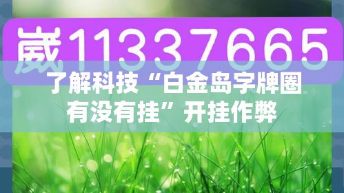 了解科技“白金岛字牌圈有没有挂”开挂作弊