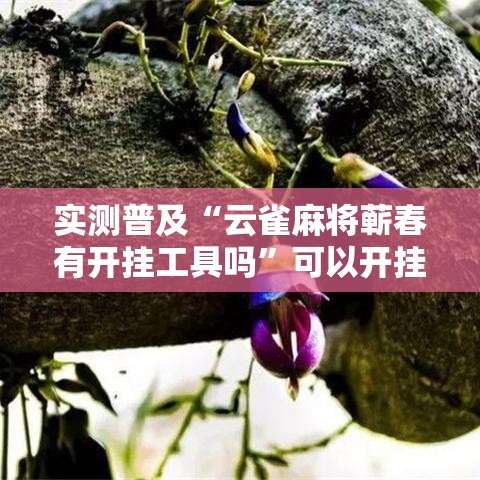 实测普及“云雀麻将蕲春有开挂工具吗”可以开挂