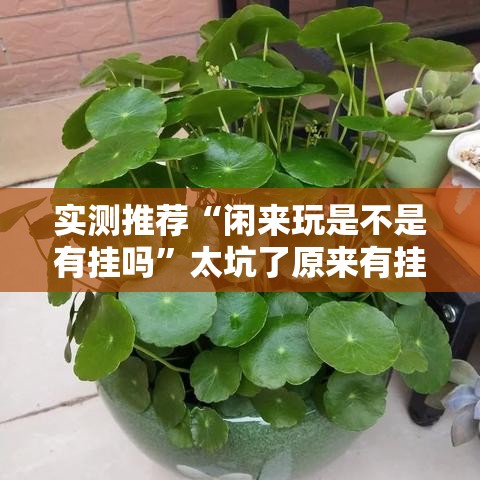 实测推荐“闲来玩是不是有挂吗”太坑了原来有挂