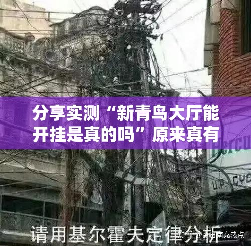 分享实测“新青鸟大厅能开挂是真的吗”原来真有挂