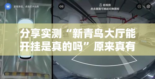 分享实测“新青鸟大厅能开挂是真的吗”原来真有挂