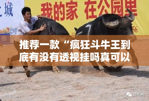 推荐一款“疯狂斗牛王到底有没有透视挂吗真可以装挂 推荐一款“疯狂斗牛王到底有没有透视挂吗真可以装挂