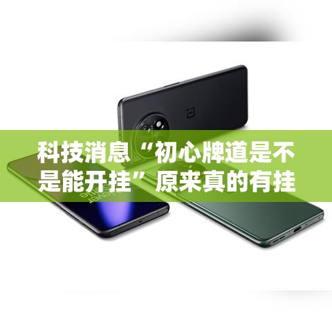 科技消息“初心牌道是不是能开挂	”原来真的有挂