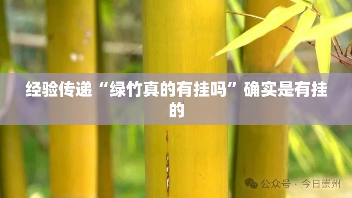 经验传递“绿竹真的有挂吗	”确实是有挂的