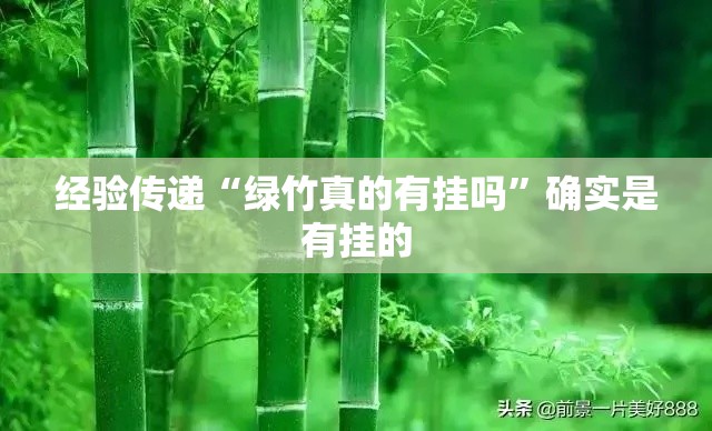经验传递“绿竹真的有挂吗”确实是有挂的