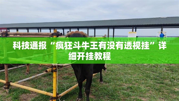 科技通报“疯狂斗牛王有没有透视挂”详细开挂教程