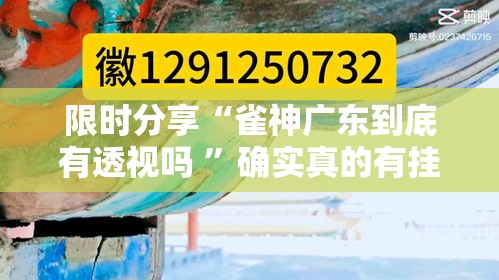 限时分享“雀神广东到底有透视吗 ”确实真的有挂