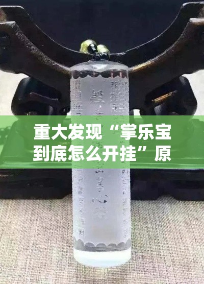 重大发现“掌乐宝到底怎么开挂”原来真的有挂