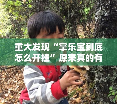 重大发现“掌乐宝到底怎么开挂	”原来真的有挂