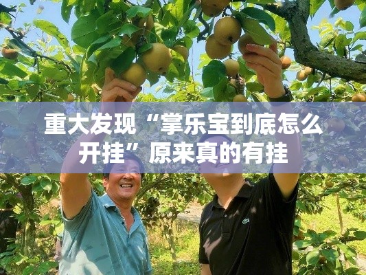 重大发现“掌乐宝到底怎么开挂”原来真的有挂
