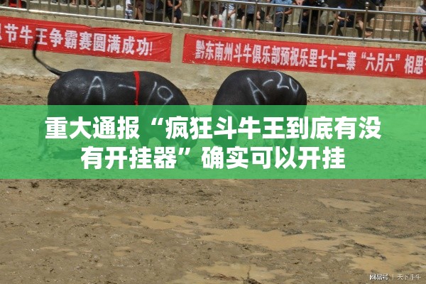 重大通报“疯狂斗牛王到底有没有开挂器”确实可以开挂