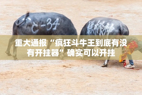 重大通报“疯狂斗牛王到底有没有开挂器”确实可以开挂