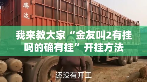 我来教大家“金友叫2有挂吗的确有挂”开挂方法