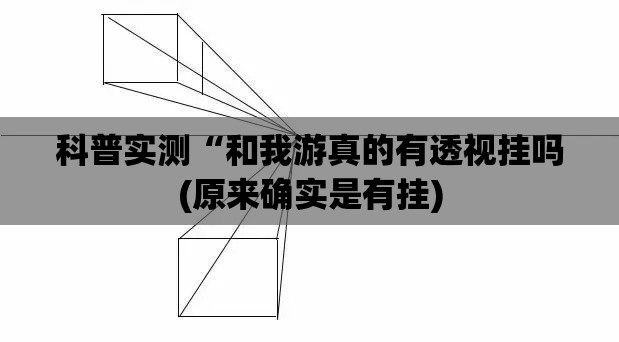 科普实测“和我游真的有透视挂吗(原来确实是有挂)