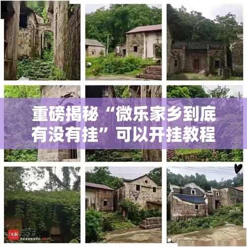 重磅揭秘“微乐家乡到底有没有挂”可以开挂教程