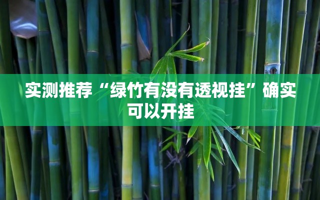实测推荐“绿竹有没有透视挂	”确实可以开挂