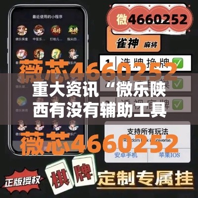 重大资讯“微乐陕西有没有辅助工具”详细分享步骤