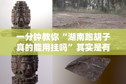 一分钟教你“湖南跑胡子真的能用挂吗”其实是有挂