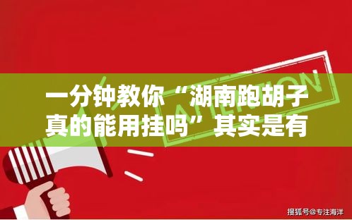 一分钟教你“湖南跑胡子真的能用挂吗”其实是有挂
