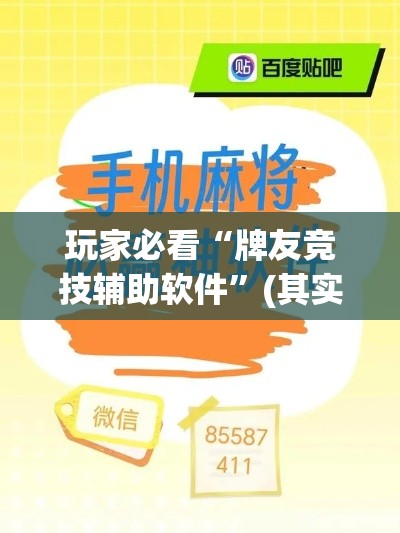 玩家必看“牌友竞技辅助软件	”(其实有挂)