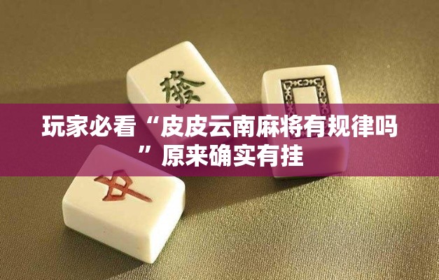 玩家必看“皮皮云南麻将有规律吗”原来确实有挂