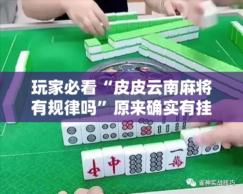 玩家必看“皮皮云南麻将有规律吗”原来确实有挂