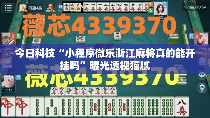 今日科技“小程序微乐浙江麻将真的能开挂吗”曝光透视猫腻