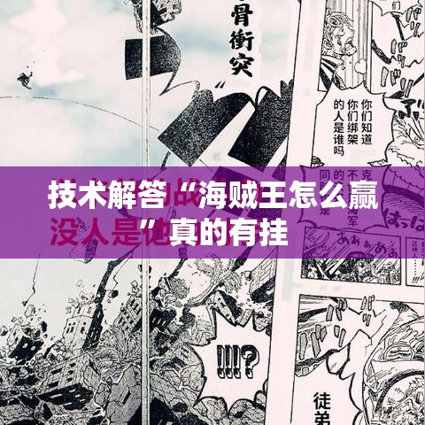 技术解答“海贼王怎么赢”真的有挂