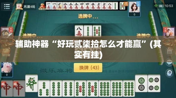 辅助神器“好玩贰柒拾怎么才能赢	”(其实有挂)
