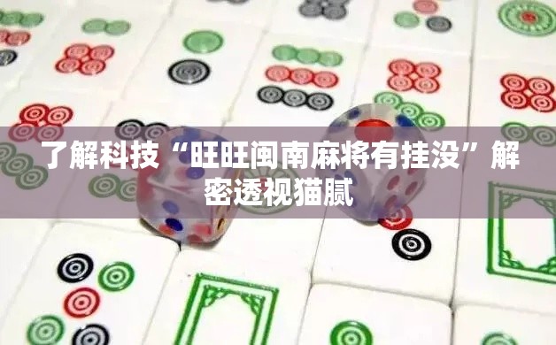 了解科技“旺旺闽南麻将有挂没”解密透视猫腻