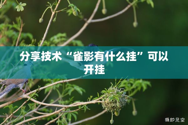 分享技术“雀影有什么挂”可以开挂