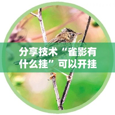 分享技术“雀影有什么挂”可以开挂
