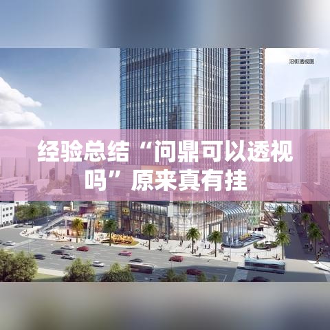 经验总结“问鼎可以透视吗”原来真有挂