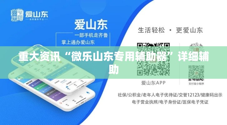 重大资讯“微乐山东专用辅助器”详细辅助