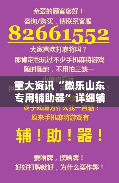 重大资讯“微乐山东专用辅助器	”详细辅助
