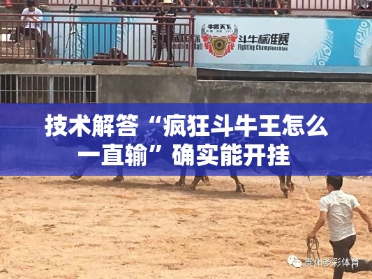 技术解答“疯狂斗牛王怎么一直输”确实能开挂 