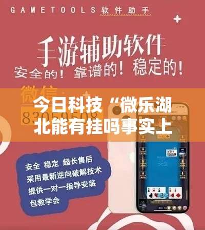 今日科技“微乐湖北能有挂吗事实上确实有挂