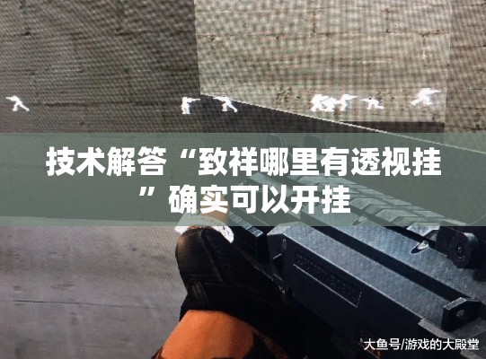 技术解答“致祥哪里有透视挂”确实可以开挂