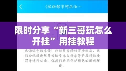 限时分享“新三哥玩怎么开挂	”用挂教程