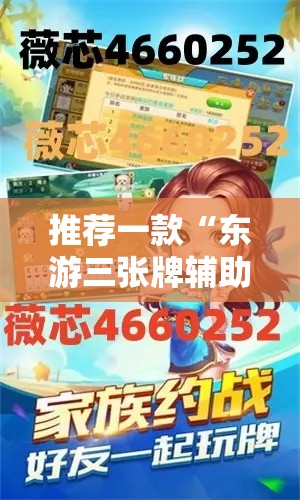 推荐一款“东游三张牌辅助工具”下载教程