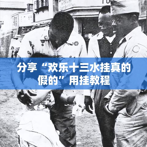 分享“欢乐十三水挂真的假的	”用挂教程