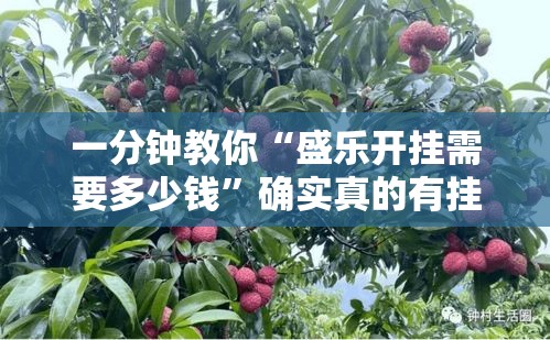 一分钟教你“盛乐开挂需要多少钱”确实真的有挂