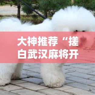 大神推荐“搓白武汉麻将开挂需要多少钱	”的确可以开挂