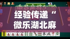 经验传递“微乐湖北麻将果然有挂	”真可以装挂