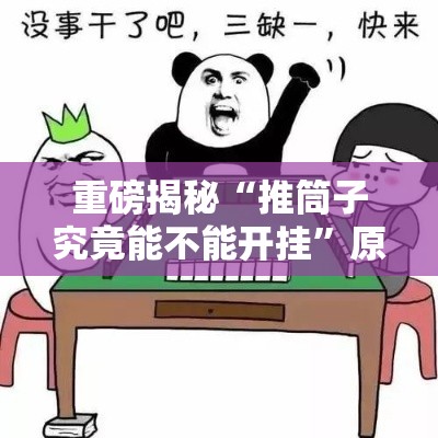 重磅揭秘“推筒子究竟能不能开挂”原来可以开挂