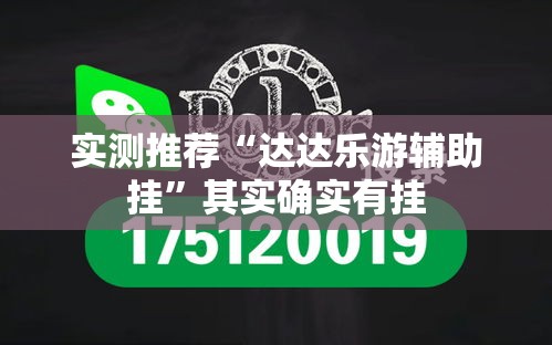 实测推荐“达达乐游辅助挂”其实确实有挂