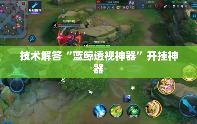 技术解答“蓝鲸透视神器”开挂神器