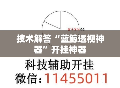 技术解答“蓝鲸透视神器	”开挂神器