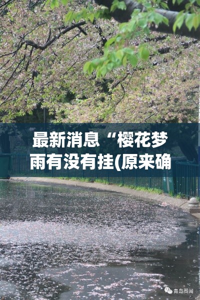 最新消息“樱花梦雨有没有挂(原来确实是有挂) 最新消息“樱花梦雨有没有挂(原来确实是有挂)