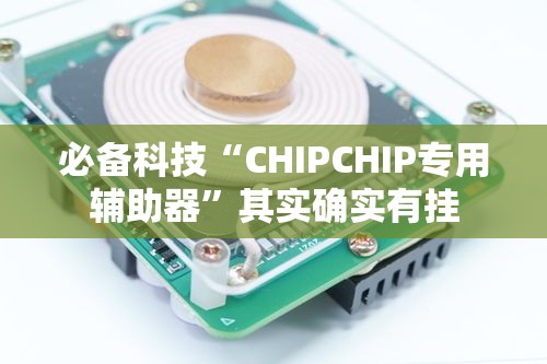 必备科技“CHIPCHIP专用辅助器”其实确实有挂